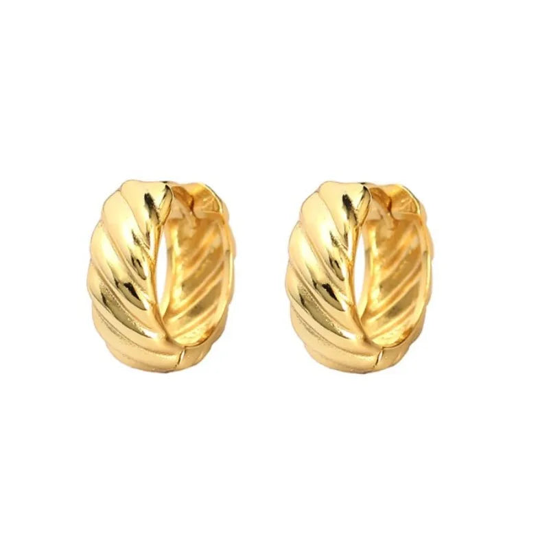9mm Punk Rock 925 Sterling Silver Twisted Earrings