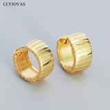 Punk Rock 925 Silver Hoop Earrings Retro Stripe Metal Wind Unisex Circle Jewelry