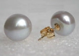 Gray South Sea Pearl Earring 925 Silver