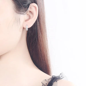 925 Silver Double Row Crystal Zircon Stud Earrings