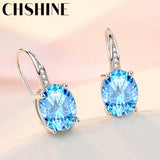 925 Silver AAAAA Zircon Earrings Women Wedding Engagement Party