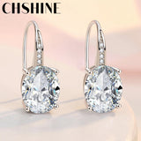 925 Silver AAAAA Zircon Earrings Women Wedding Engagement Party