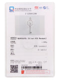 925 Silver Flower Key Pendant Necklace SC029SB