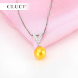 Alphabet Zircon Name Pendant Necklace Sterling Letter V SP221SB