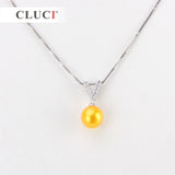 Alphabet Zircon Name Pendant Necklace Sterling Letter V SP221SB