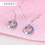 Zircons 925 Silver Earrings for Office Lady Women SE058SB