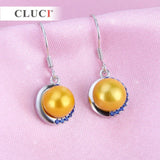 Zircons 925 Silver Earrings for Office Lady Women SE058SB