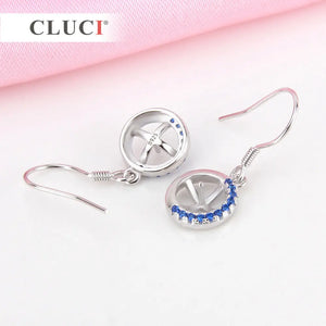 Zircons 925 Silver Earrings for Office Lady Women SE058SB