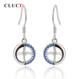 Zircons 925 Silver Earrings for Office Lady Women SE058SB