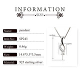 925 Silver Zircon Pendant Necklace SP243SB
