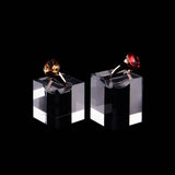 Acrylic Jewelry Holder Photography Props Cosmetics Display Stand