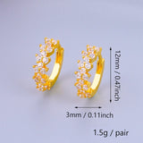 Plated Hoop Earrings CZ Zircon Ear Accessories
