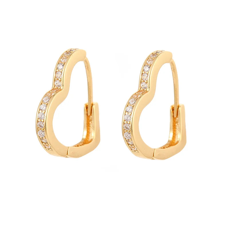 Silver Filled Hoop Earring for Women CZ Zircon Several Sizes Piercing Earrings