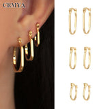 Silver Filled Hoop Earring for Women CZ Zircon Several Sizes Piercing Earrings