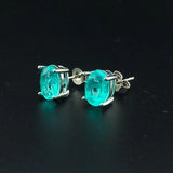 CSJ Paraiba Tourmaline Earrings 925 Sterling Silver for Women