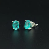 CSJ Paraiba Tourmaline Earrings 925 Sterling Silver for Women