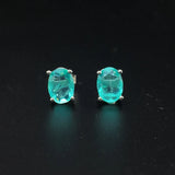 CSJ Paraiba Tourmaline Earrings 925 Sterling Silver for Women