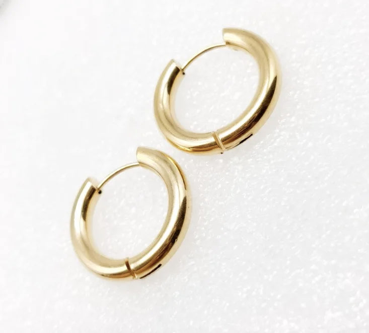 Mermaid Tail Hoop Earrings Cubic Zircon Rose Ear Jewelry