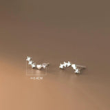 CZ Zircon Heart Stud Earrings 925 Silver Summer Jewelry