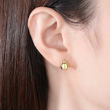 Korea Rainbow CZ Stud Earrings 925 Sterling Silver Ladybug Boucle D'Oreille