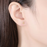Zircon Round Stud Earrings Silver Jewelry for Women