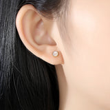 Shell 925 Silver Stud Earrings for Women Girls Dating FE0248