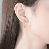 Silver Circle Hoop Earrings Set for Women - Christmas Statement Jewelry
