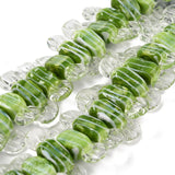 Polka Dot Striped Print Lampwork Glass Beads Strand
