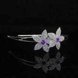 Carddoor Rhinestone Crown Tiara Headband Wedding Bridal Prom