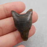 Labradorite Wolf Head Pendant Bead 31x21x10mm