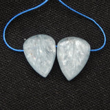 Carved Leaves Kyanite Earrings Gem Customized