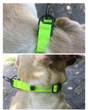 Adjustable Bell Reflective Cat & Dog Collar