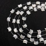 Cat Head Shape Shell Beads 8x10mm for DIY Jewelry Making