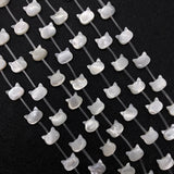 Cat Head Shape Shell Beads 8x10mm for DIY Jewelry Making