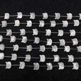 Cat Head Shape Shell Beads 8x10mm for DIY Jewelry Making