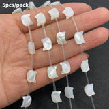 Cat Head Shape Shell Beads 8x10mm for DIY Jewelry Making