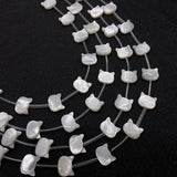 Cat Head Shape Shell Beads 8x10mm for DIY Jewelry Making