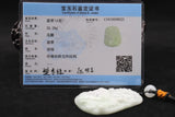 Natural Myanmar Emerald Jadeite Jade Dragon Pendant Necklace