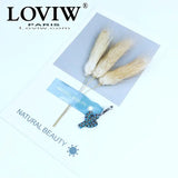 Cactus Charm Pendant Silver-Plated Jewelry for Women Men