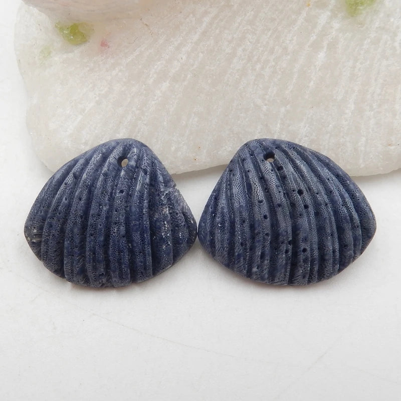 Natural Coral Shell Earrings 22x19x5mm
