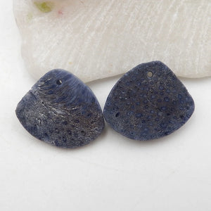 Natural Coral Shell Earrings 22x19x5mm