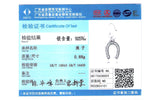 925 Sterling Silver Lucky Charms with Cubic Zirconia Beads