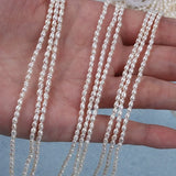 Tiny 2-2.5mm Freshwater Rice Strands