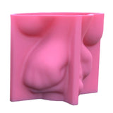 Cheek Support Face Silicone Mold Succulent Flowerpot Clay Plaster Molds