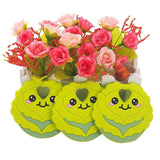 Chenkai 5PCS Silicone Cabbage Teether Baby Teething BPA Sensory Pacifier DIY