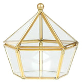 Terrarium Window Box Storage Display Case Pentagon Shape Glass Brass Tone