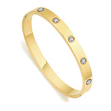 Stainless Steel Crystal Bangles Bracelets for Women - Daily Buckle