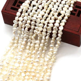Freshwater Pearl Irregular Loose Bead Jewelry DIY Necklace Bracelet 8-12mm