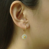 Natural Stone Circle Pendants Hoop Earrings for Women Stainless Steel