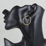 Classic Round Stainless Steel Hoop Earrings Plated Jewelry Gift